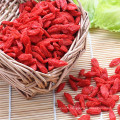 La nature des baies de goji séchées surgelées biologiques